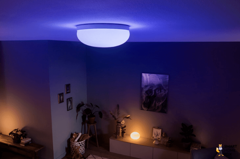plafonnier philips hue flourish